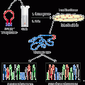EZ-Tn5™ <DHFR-1> Tnp Transposome™ Kit