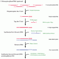 ExactSTART™ End-Tagged Double-Strand cDNA Synthesis Kit for Small RNA
