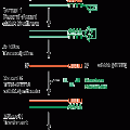 MessageBOOSTER™ cDNA Synthesis Kit for qPCR