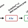 ScriptSeq™ Complete Gold Kit (Human/Mouse/Rat)