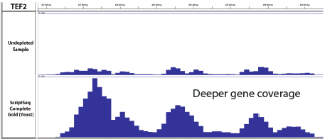 Ribo-Zero Gold Yeast gene coverage