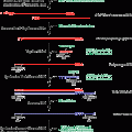 ExactSTART™ Eukaryotic mRNA 5'- & 3'-RACE Kit