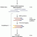 ScriptSeq Complete Gold (Blood) - Low Input