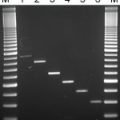 QuickExtract™ RNA Extraction Kit