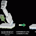 QuickExtract™ Plant DNA Extraction Solution