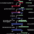 ExactSTART™ Small RNA Cloning Kit