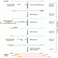 RiboMultiplier™ Sense-RNA Amplification Kit