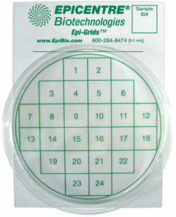 Epi-Grids? - 24 squares