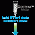 QuickExtract™ DNA Extraction Solution 1.0