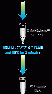QuickExtract™ DNA Extraction Solution 1.0
