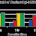 AmpliScribe™ T7 Aminoallyl-RNA Transcription Kit