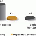 Ribo-Zero™ Magnetic Kit (Bacteria)