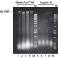 MasterPure™ Plant Leaf DNA Purification Kit