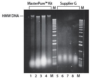 MasterPure™ Plant Leaf DNA Purification Kit