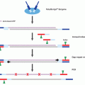 Totalscript™ RNA-Seq Kit