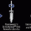 BuccalAmp™ DNA Extraction Kit with MasterAmp™ Brush Remote Testing
