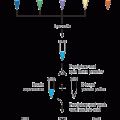 MasterPure™ RNA Purification Kit