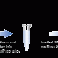 QuickExtract™ FFPE RNA Extraction Kit