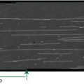 QuickExtract™ Bacterial DNA Extraction Kit
