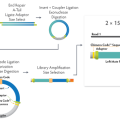 NxSeq® Long Mate Pair Library Kit, Box 2