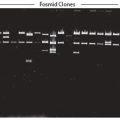 Metagenomic DNA Isolation Kit for Water