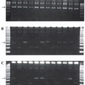 Fast-Link™ DNA Ligation and Screening Kit