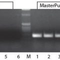 MasterPure™ Complete DNA & RNA Purif Kit