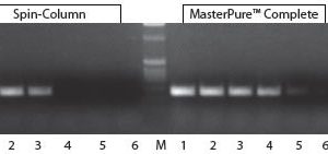 MasterPure™ Complete DNA & RNA Purif Kit