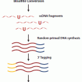 EpiGnome™ Methyl-Seq Kit