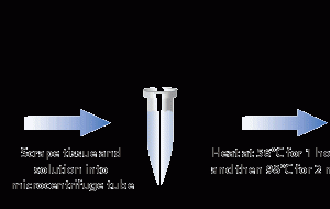 QuickExtract™ FFPE DNA Extraction Kit