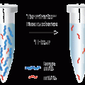 Terminator™ 5'-Phosphate-Dependent Exonuclease