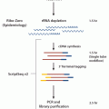 ScriptSeq Complete Gold (Epidemiology)