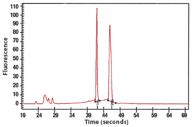 说明: http://www.epibio.com/images/default-source/product-page-images/c_masterpureyeast_rnapurity.gif?sfvrsn=0.6470958098886063